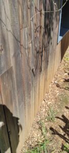 Bardage bois vertical touchant le sol, sans ventilation, créant un risque d’attaque par des insectes xylophages.